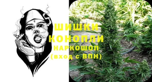 ПСИЛОЦИБИНОВЫЕ ГРИБЫ Бородино