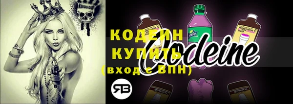 ПСИЛОЦИБИНОВЫЕ ГРИБЫ Бородино