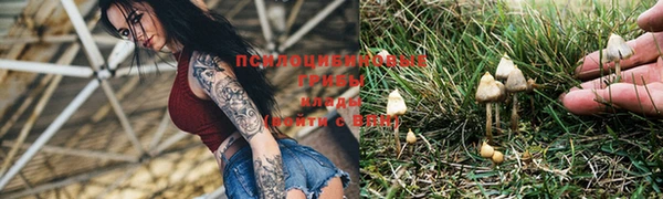 прущие крисы Бронницы