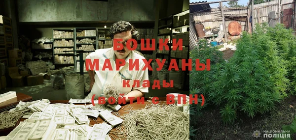 МДПВ Богородск