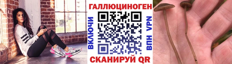 Галлюциногенные грибы прущие грибы  блэк спрут вход  сайты даркнета наркотические препараты  Гаврилов-Ям 